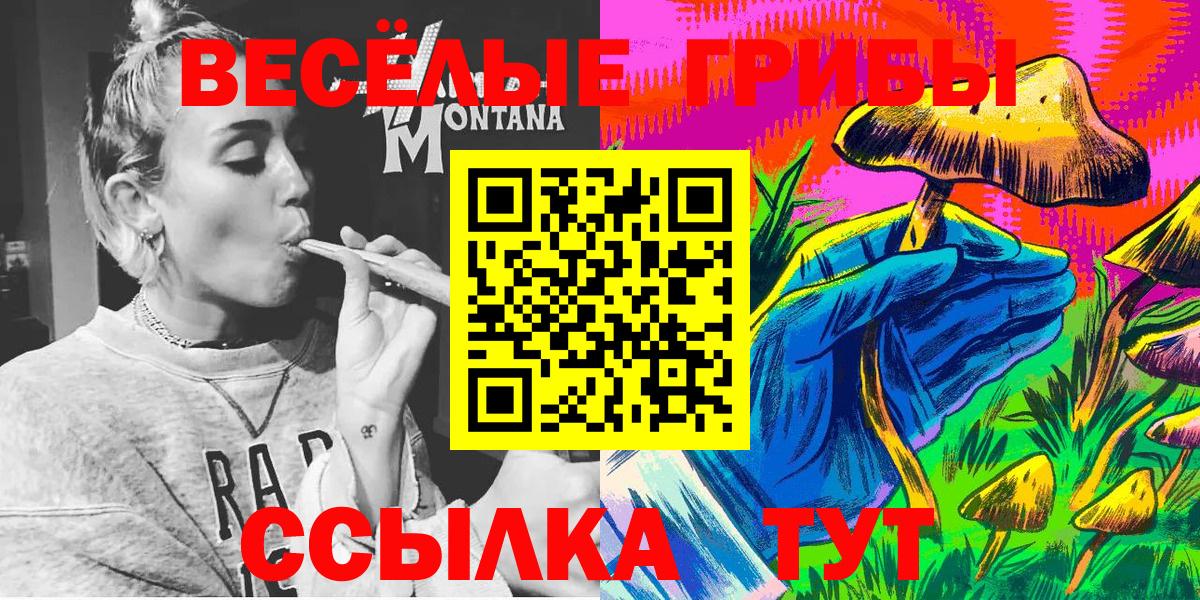 Сокол  Галлюциногенные грибы GOLDEN TEACHER  даркнет сайт  Вход с VPN 